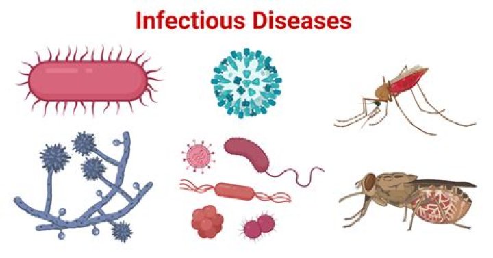 Which of the following diseases are caused by an ascomycete?