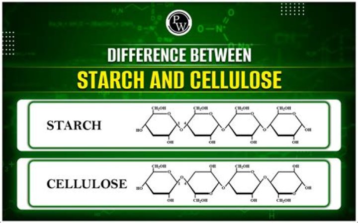Which of the following is true of both starch and cellulose?