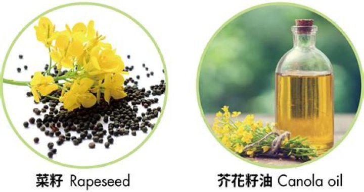 Which oils contain erucic acid?