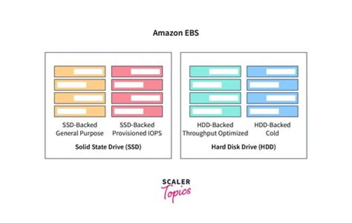 Which type of ebs drives are used?