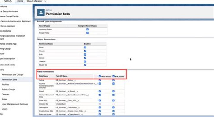 Who are authenticated users in salesforce?