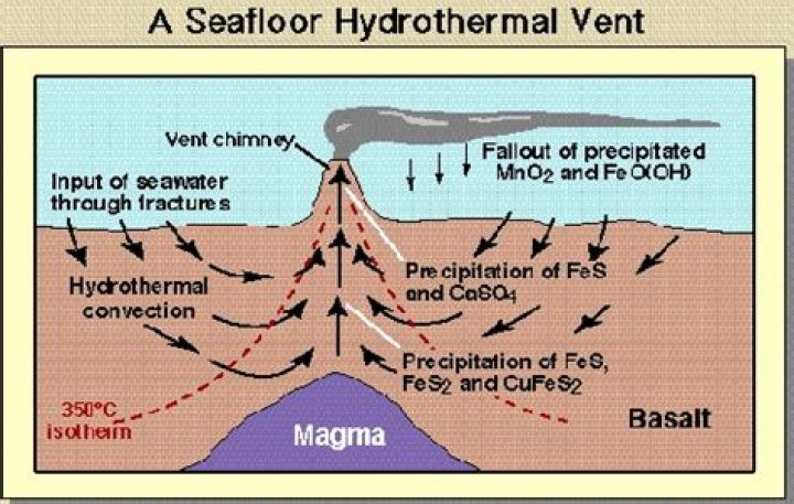 Who do hydrothermal vents form?