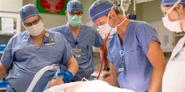 Who do nurse anesthetists work with?