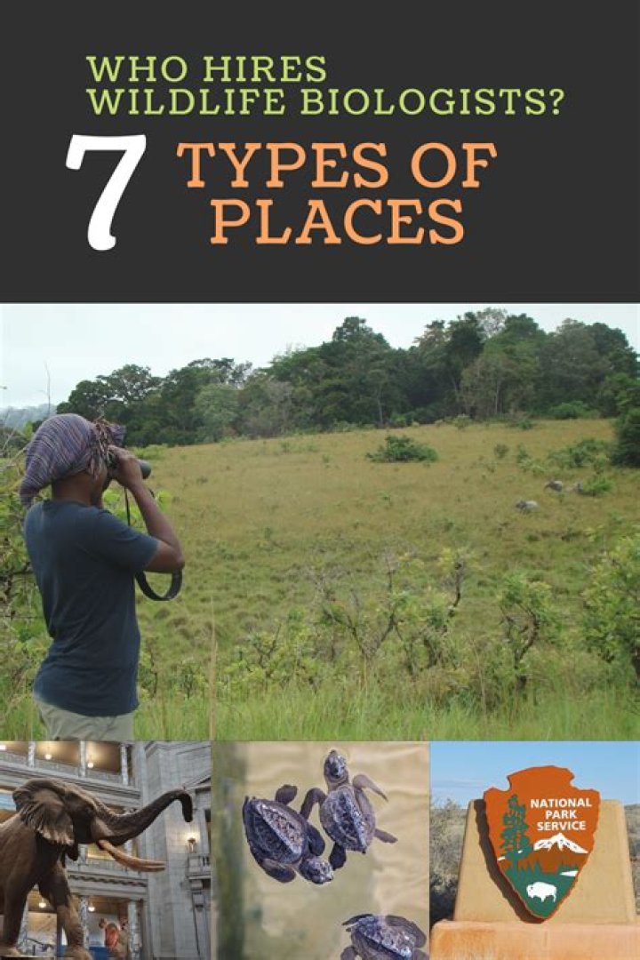 Who hires wildlife biologists?