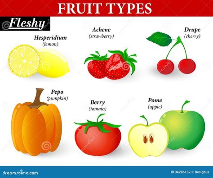 Who is a fleshy fruit?