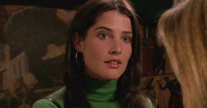 Who is robin from how i met your mother?
