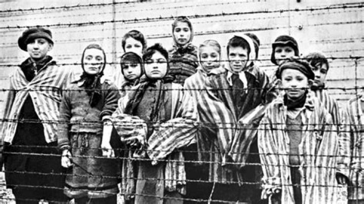 Who liberated the concentration camps?