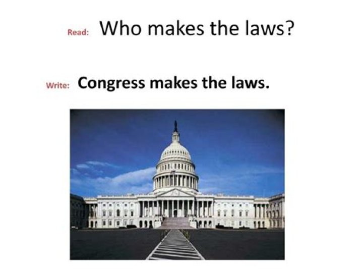 Who makes the laws?