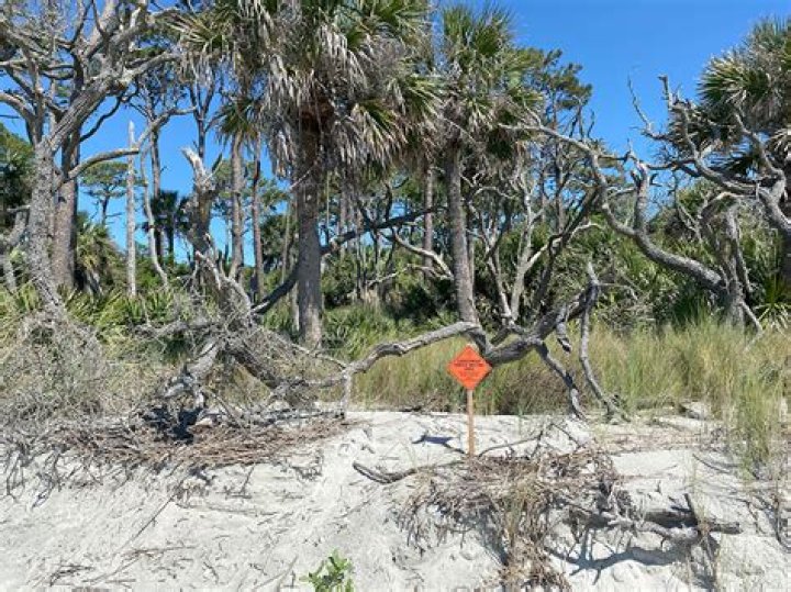 Who owns pritchards island?