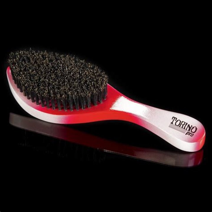 Who owns torino brushes?