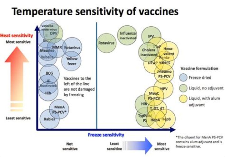 Who thermal stability of vaccines?