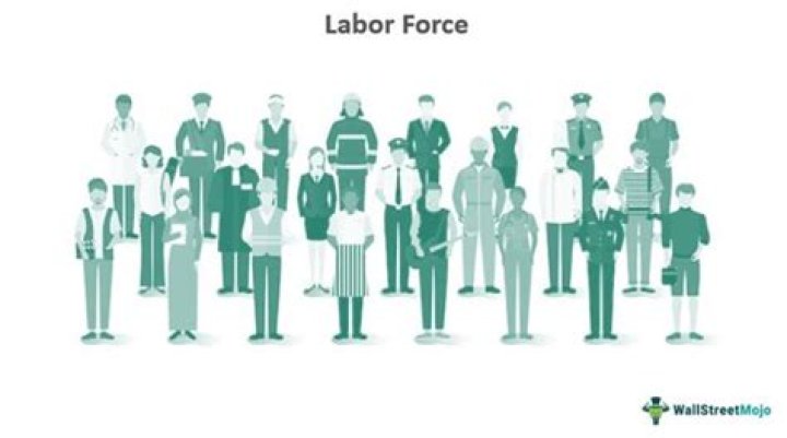 Whos in the labor force?