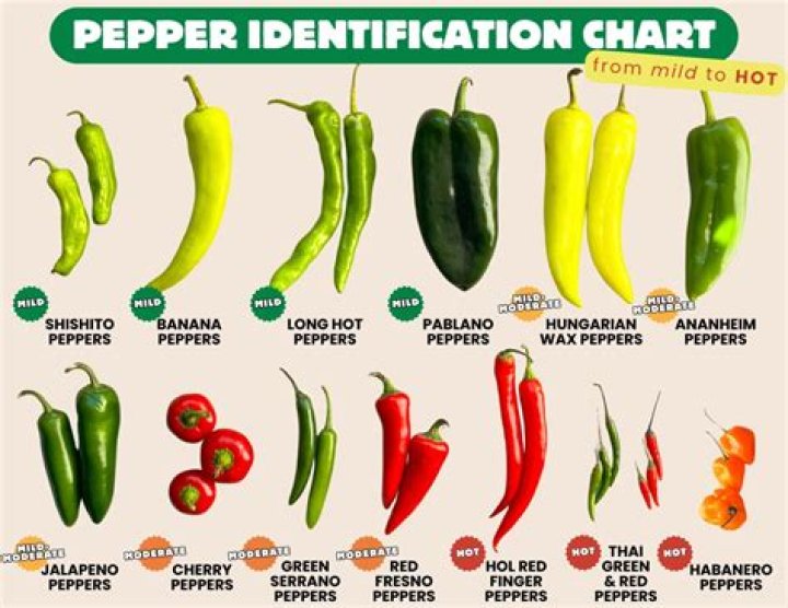 Why are my serrano peppers not hot?