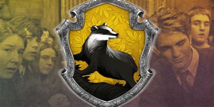 Why badger for hufflepuff?