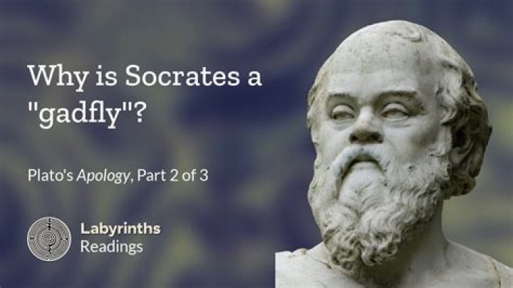 Why did socrates call himself a gadfly?