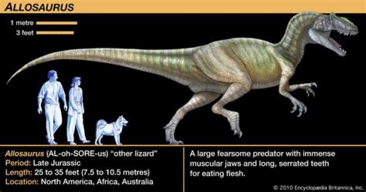 Why did the allosaurus go extinct?