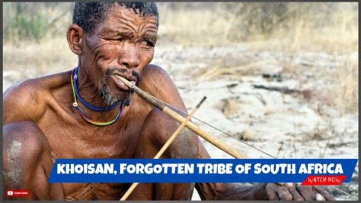 Why did the khoisan migrate to south africa?