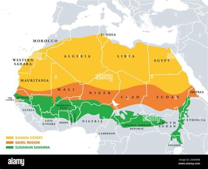 Why did the sudanic states develop in the sahel and what advantages did they have?