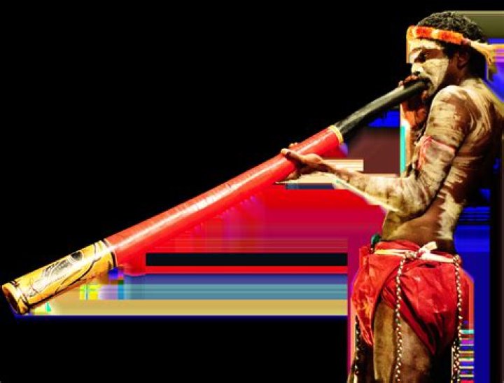 Why didgeridoo is important?