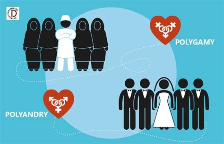 Why does polyandry occur?