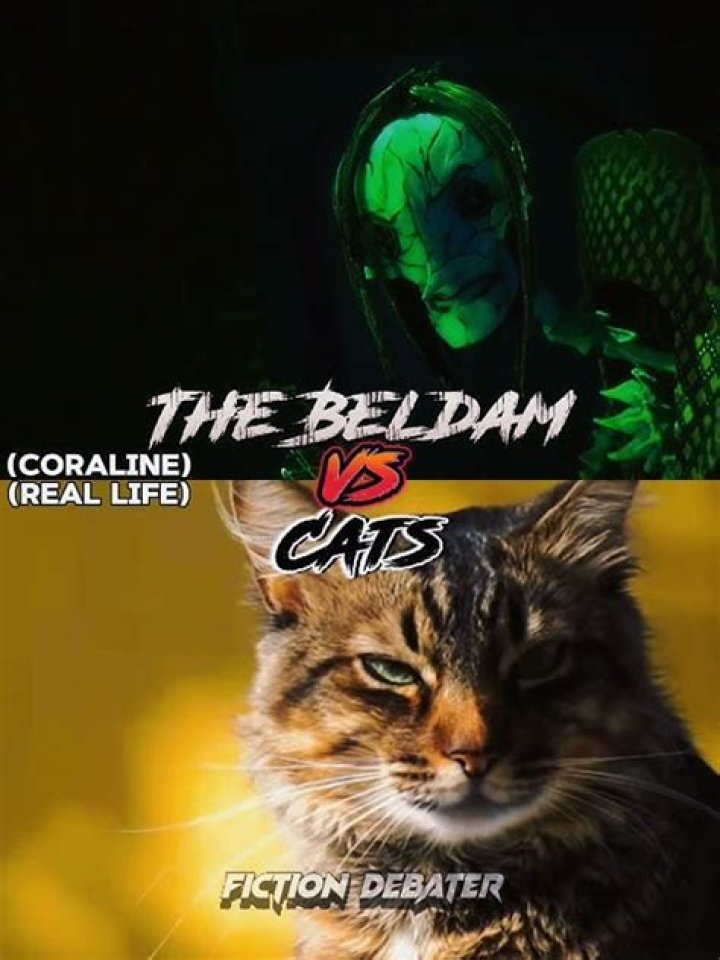 Why does the beldam hate cats?