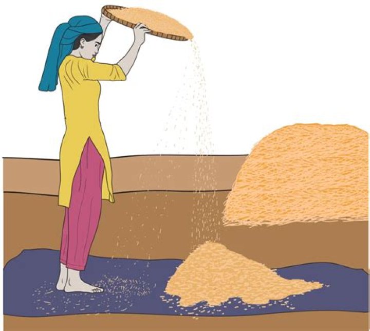 Why does the wind winnow and crush others?