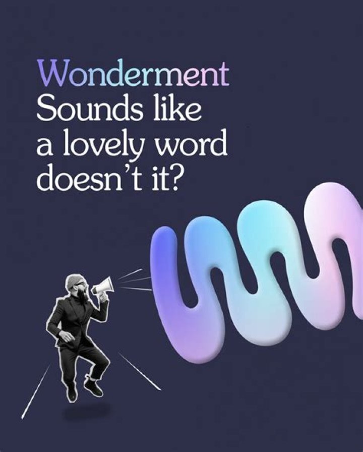 Why does wonderment mean?
