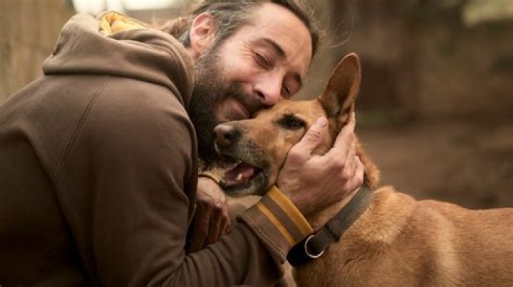 Why dogs leave home to die?