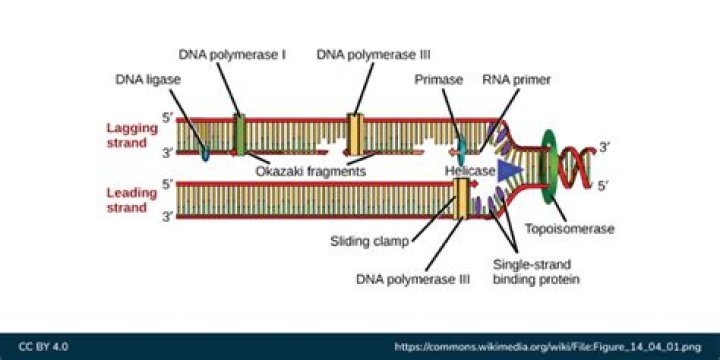 Why groovy is lagging?