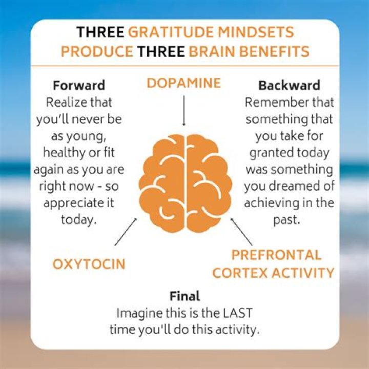 Why is it important for the brain to be well protected?