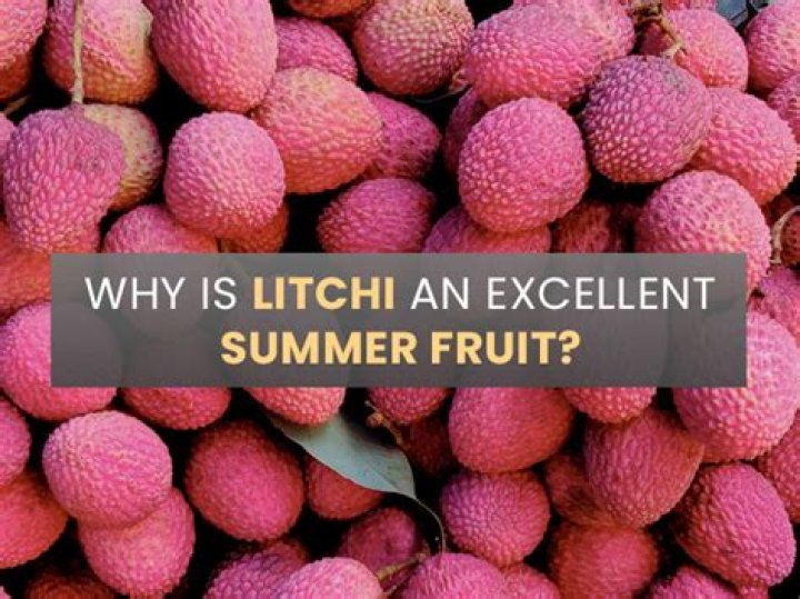 Why is litchi necessary?