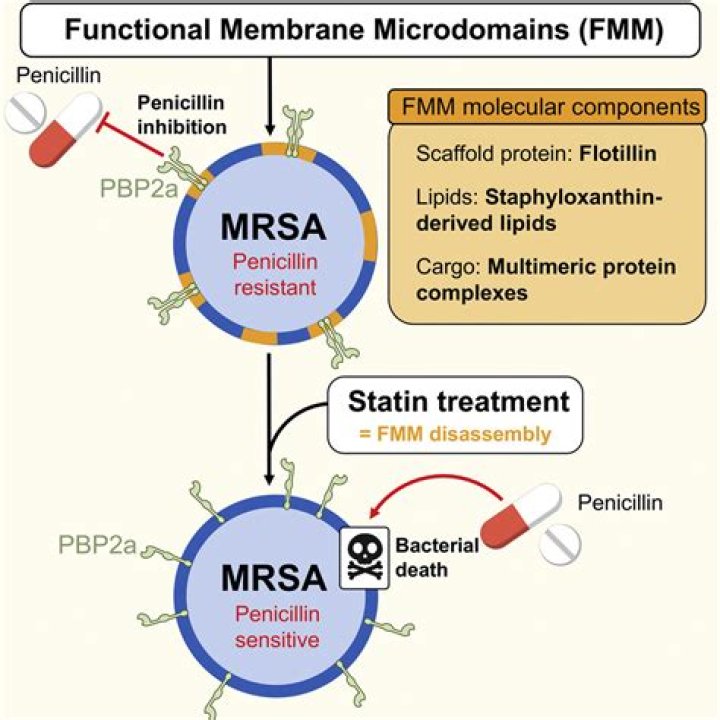 Why is mrsa resistant to penicillin and methicillin?