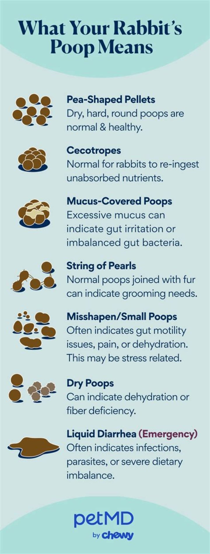 Why is my rabbits poop clumped together?