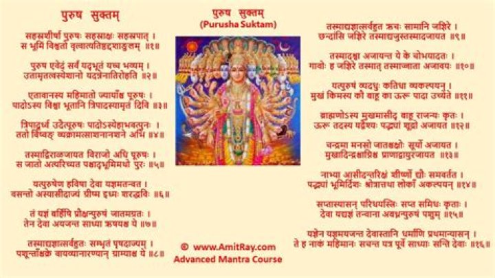Why purusha is important?