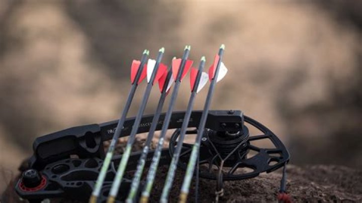 Why were crossbows banned?