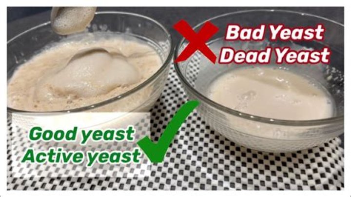 Why yeast not rising?