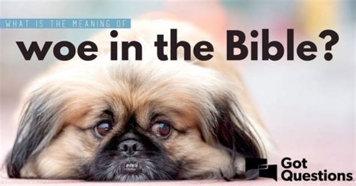 Will and woe meaning?