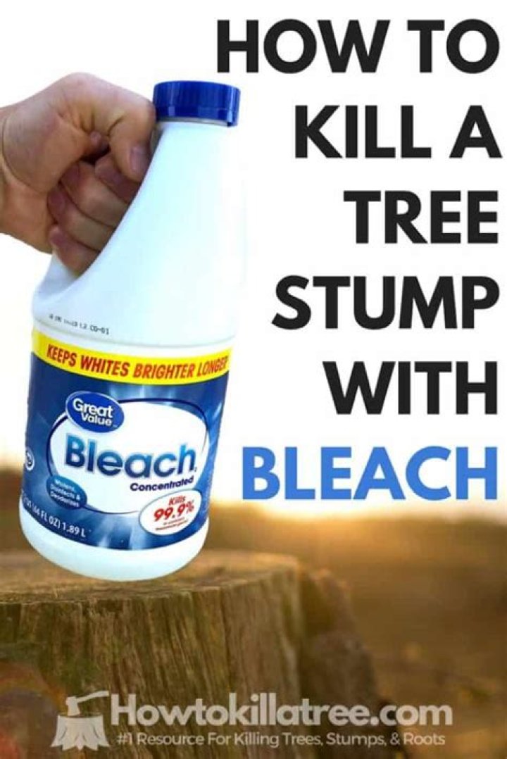 Will bleach kill a tree stump?