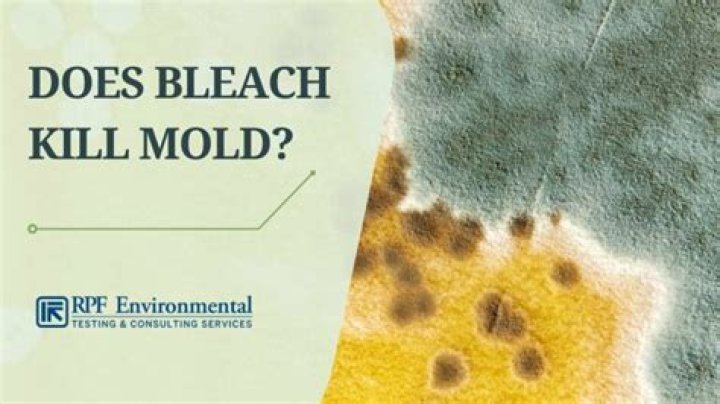 Will bleach kill white water mold?