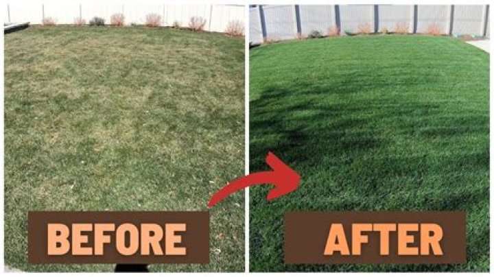 Will fertilizer make grass grow greener?