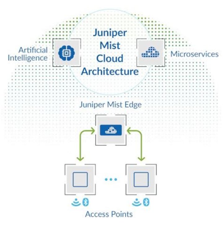 Will juniper networks survive?