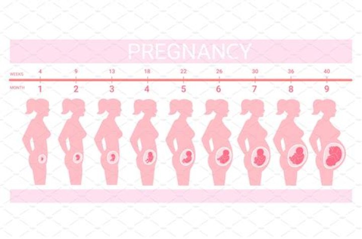 Will my baby be a lefty?