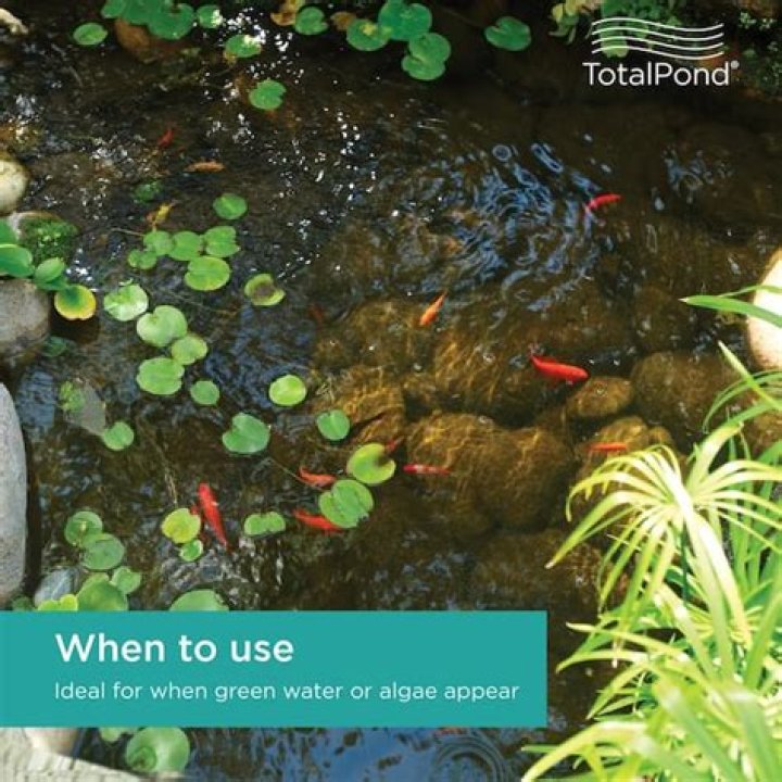 Will roundup kill aquatic plants?