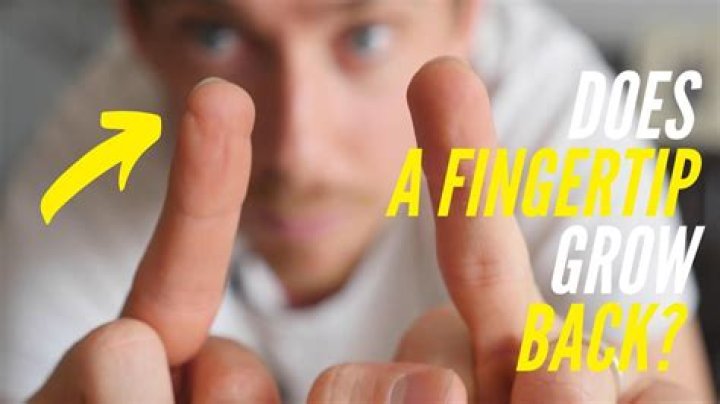 Will tip of finger grow back?